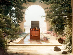 Travel - Maharaja d’Or