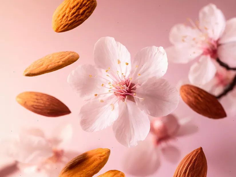 The Ritual of Sakura Shower Oil