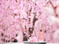 The Ritual of Sakura Dry Oil