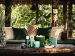 The Ritual of Jing Massage Oil