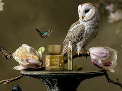 Travel - Velvet Aura Perfume Oil 15ml