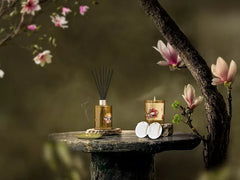 Intuitia Scented Candle