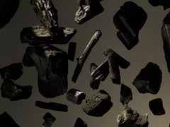 Sport Shower Foam Value Pack 2024