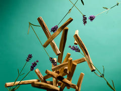 The Ritual of Jing Night Roll On Serum