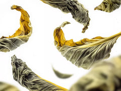 Royal Tea Refill Hand Wash 600ml