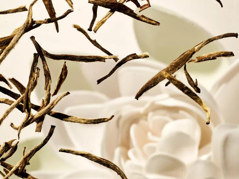 Karma Shower Foam Value Pack 2025