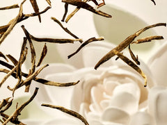 The Ritual of Karma Foaming Shower Gel 50ml