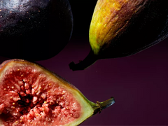 Wild Fig Refill Scented Candle 360g