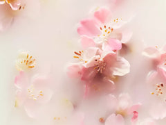 The Ritual of Sakura Refill Hand Wash 600ml